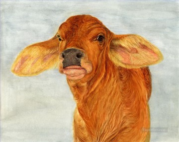 cow dana calf Oil Paintings